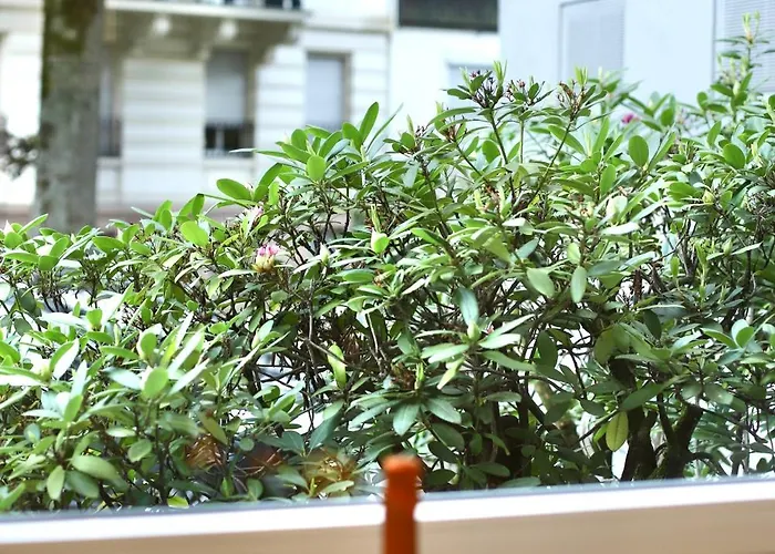 Exsklusiv Im Mittelpunkt